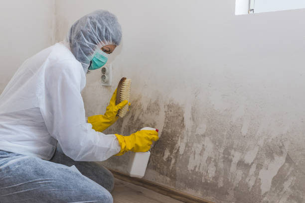 Best Crawl Space Mold Removal  in North Gates, NY