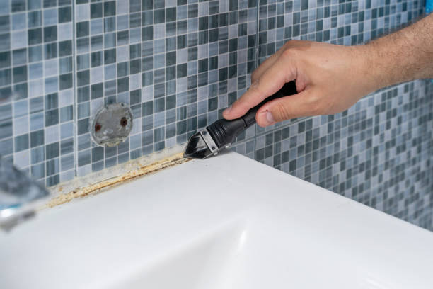 Best Mold Cleaning Services  in North Gates, NY